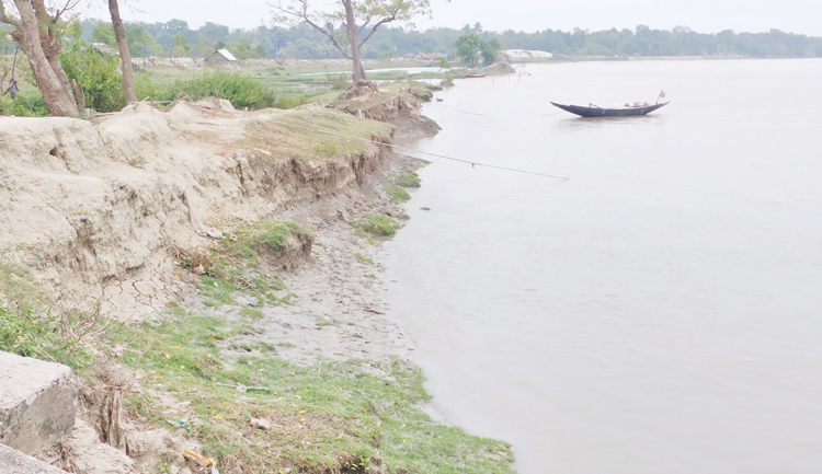 ভাঙনে সরে আসছে সীমান্ত নদী ইছামতী