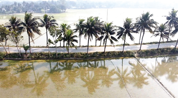 প্রাকৃতিক সৌন্দর্যে ভরা ‘প্যারিস রোড’