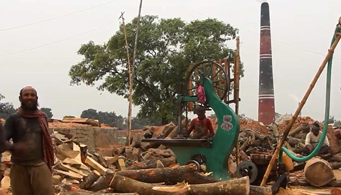 কৃষিজমি নষ্ট করে চলছে অবৈধ ইটভাটা