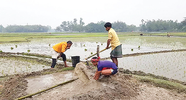 পানিশূন্য তিস্তা