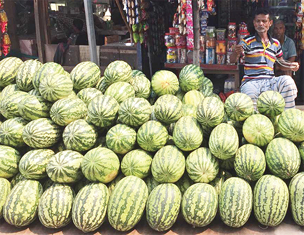 এবার ১০০ টাকায় মিলবে পাঁচ কেজির তরমুজ