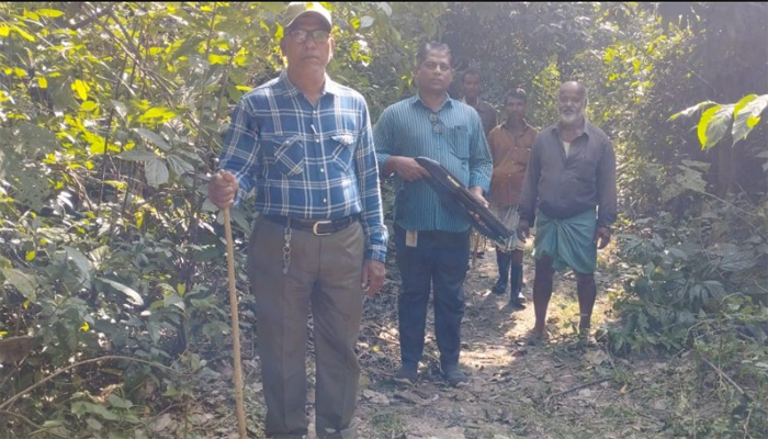 সহকর্মীর শোকের মাঝেও পাহারায় বনকর্মীরা, অধরা পাহাড়খেকো চক্র