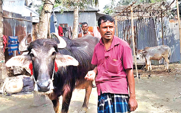 মহিষের সঙ্গে মালিকের বন্ধুত্ব