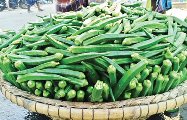 পাঁচ টাকা কেজির ঢ্যাঁড়শ ঢাকায় বিক্রি ২০ টাকায়