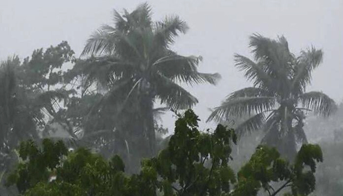 দুপুরের মধ্যেই ঝড়ো হাওয়াসহ বৃষ্টির আভাস