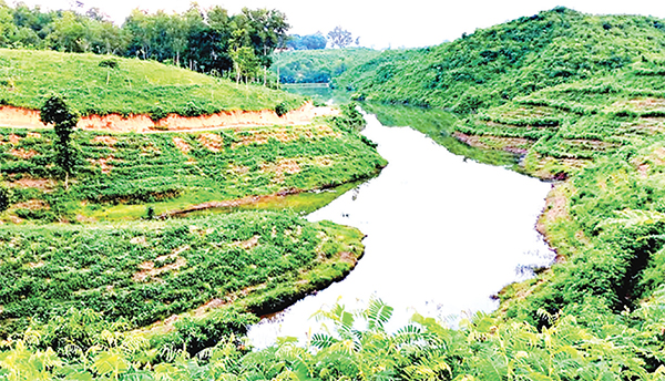 ইসলামের ভাবনায় প্রকৃতি