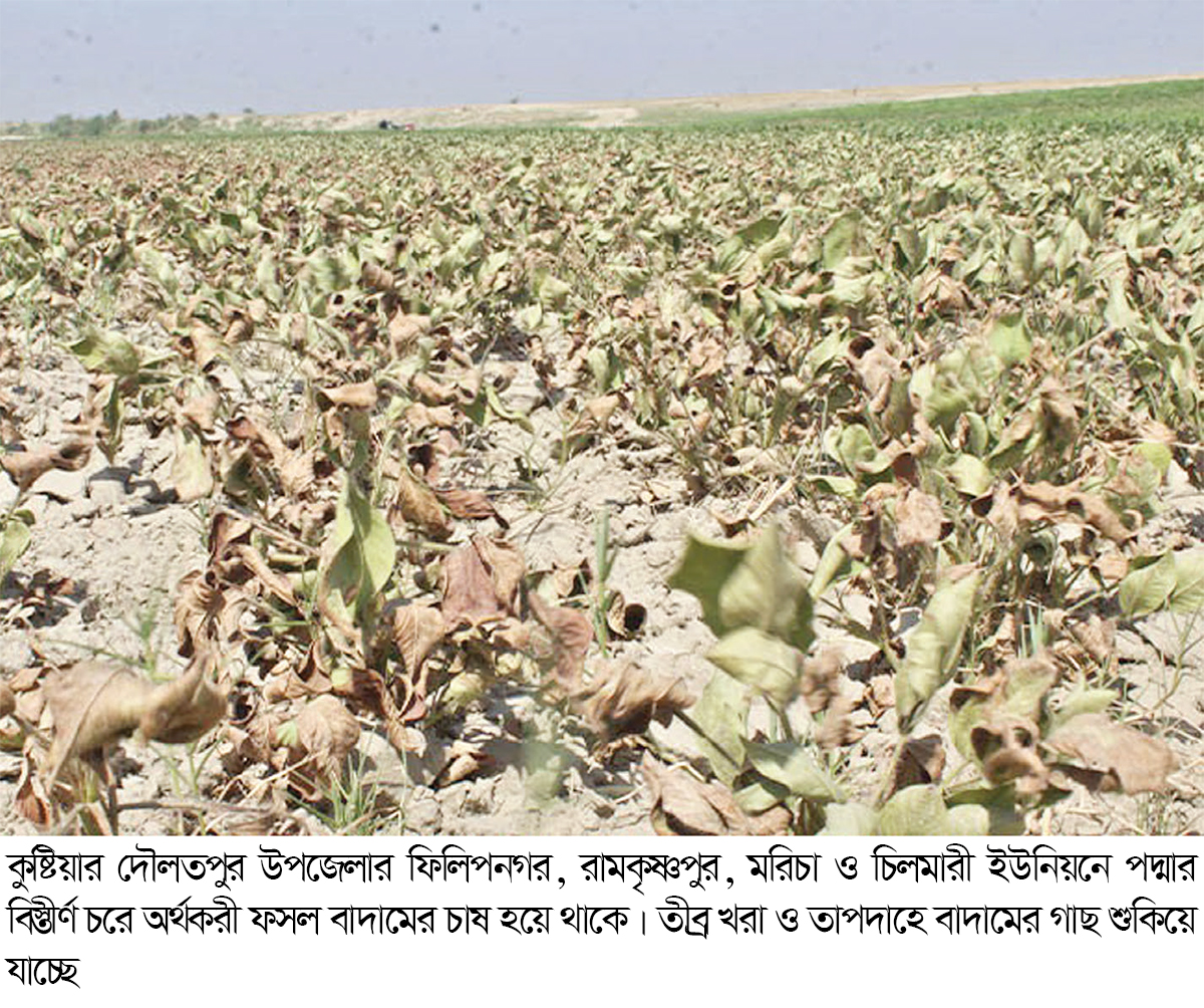 বৈশাখের খরতাপে পুড়ছে কৃষকের স্বপ্ন