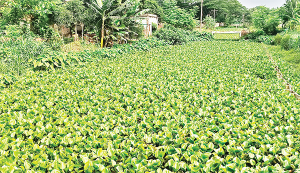 কেশবপুরে তিন নদনদী ভরাট জলাবদ্ধতার শঙ্কা