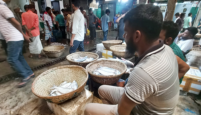 ইলিশসহ অন্যান্য মাছের আমদানি বেড়েছে চাঁদপুরে