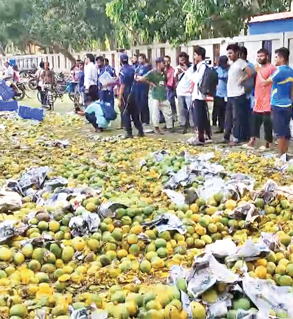 সাতক্ষীরায় কেমিক্যাল দিয়ে পাকানো ৯ মেট্রিক টন আম বিনষ্ট