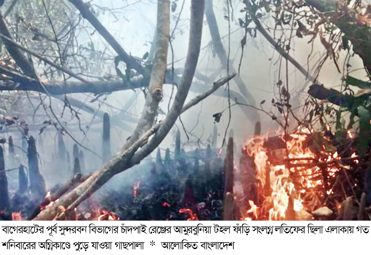 সুন্দরবনে লাগা আগুন ৩০ ঘণ্টা পর নিয়ন্ত্রণে