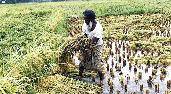 ফেনীতে কালবৈশাখি ঝড়ের তাণ্ডব