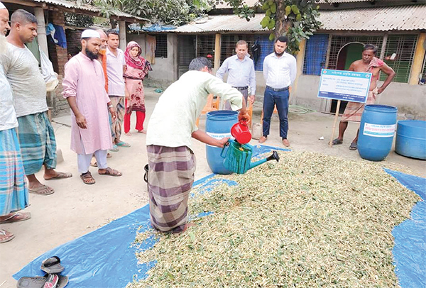 গো-খাদ্যের খরচ কমাতে সাইলেজ প্রযুক্তি প্রদর্শন