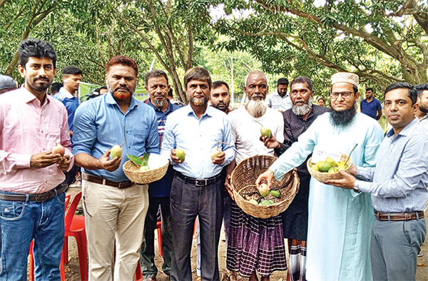 সাতক্ষীরায় আম সংগ্রহের আনুষ্ঠানিক উদ্বোধন