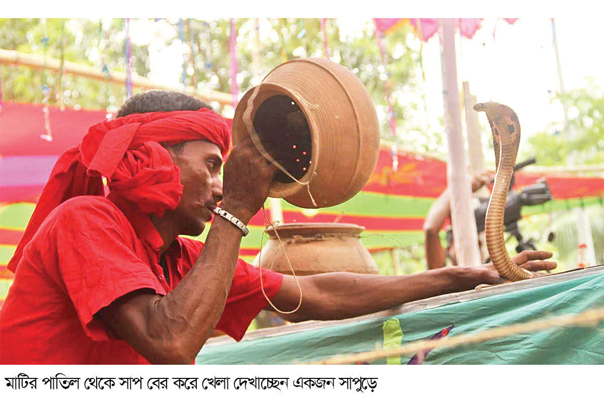 হারিয়ে যাচ্ছে গ্রামগঞ্জের সাপখেলা