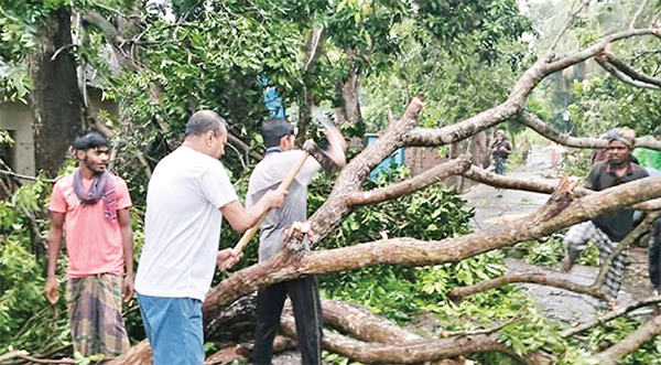 ফরিদপুরে কালবৈশাখির তাণ্ডবে বিধ্বস্ত তিন উপজেলা