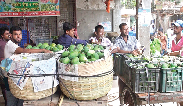 সাতক্ষীরার বাজারে পাকা আম