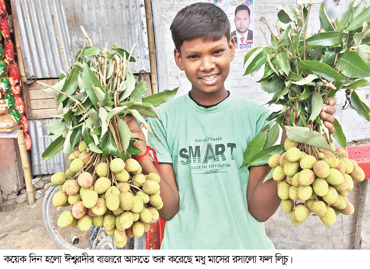 ঈশ্বরদীর বাজারে অপরিপক্ব লিচু, দামও চড়া