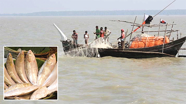 সাগরে মিলছে না কাঙ্ক্ষিত ইলিশ