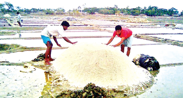 মৌসুম শেষের আগেই কক্সবাজারে রেকর্ড পরিমাণ লবণ উৎপাদন