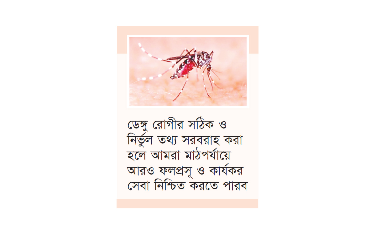 ডেঙ্গু নিয়ে কারো উপর দায় চাপাতে চাই না