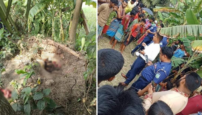 ময়মনসিংহে গর্ত থেকে মিলল নারীসহ দুই শিশুর মরদেহ