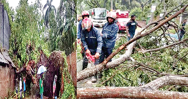 উপড়ে গেছে ১৩০ বছরের পুরোনো বটগাছ