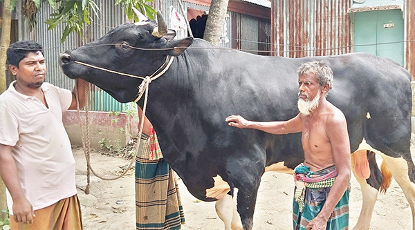 কিশোরগঞ্জে হাট কাঁপাবে ভাটির কিং