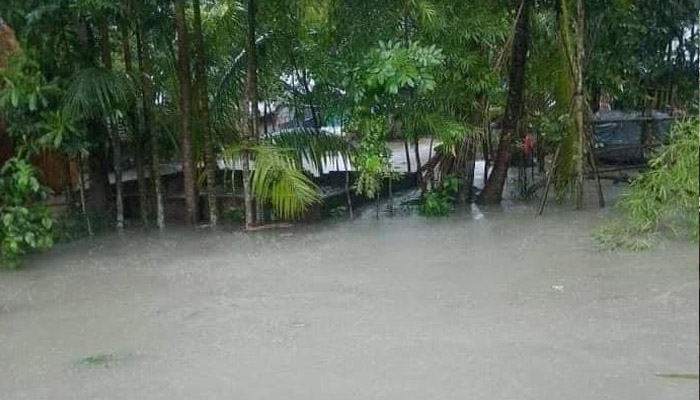 বরিশালে রেমালের তাণ্ডবে দেয়াল ধসে ও গাছের ডাল ভেঙে নিহত ৩