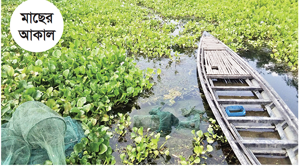 সূক্ষ্ম জালের ফাঁদে কুমার নদ