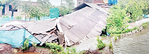 সুন্দরবন সুরক্ষায় অতিরিক্ত বাজেট বরাদ্দের দাবি