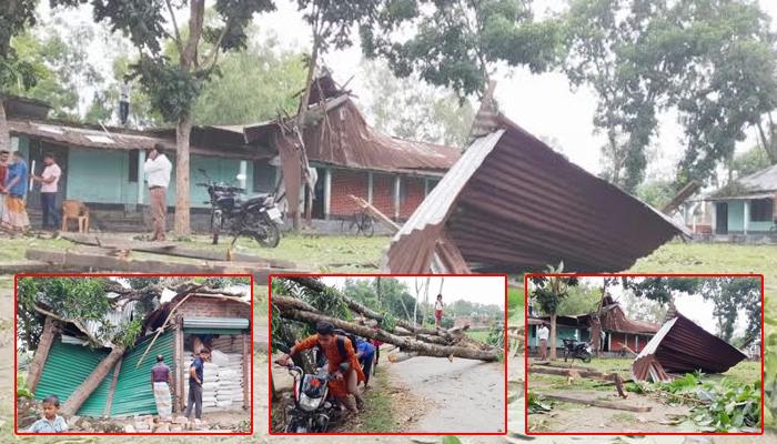 ঠাকুরগাঁওয়ে ঝড়ে লন্ডভন্ড শত শত ঘরবাড়ি, শিশুসহ নিহত ৩