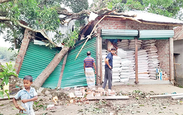 ঠাকুরগাঁওয়ে ঝড়ে শিশুসহ তিনজনের মৃত্যু