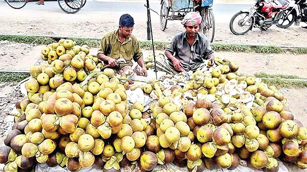 প্রচণ্ড গরমে কুষ্টিয়ায় তালশাঁসের কদর বেড়েছে