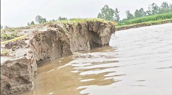 কমছে তিস্তার পানি, বাড়ছে ভাঙন