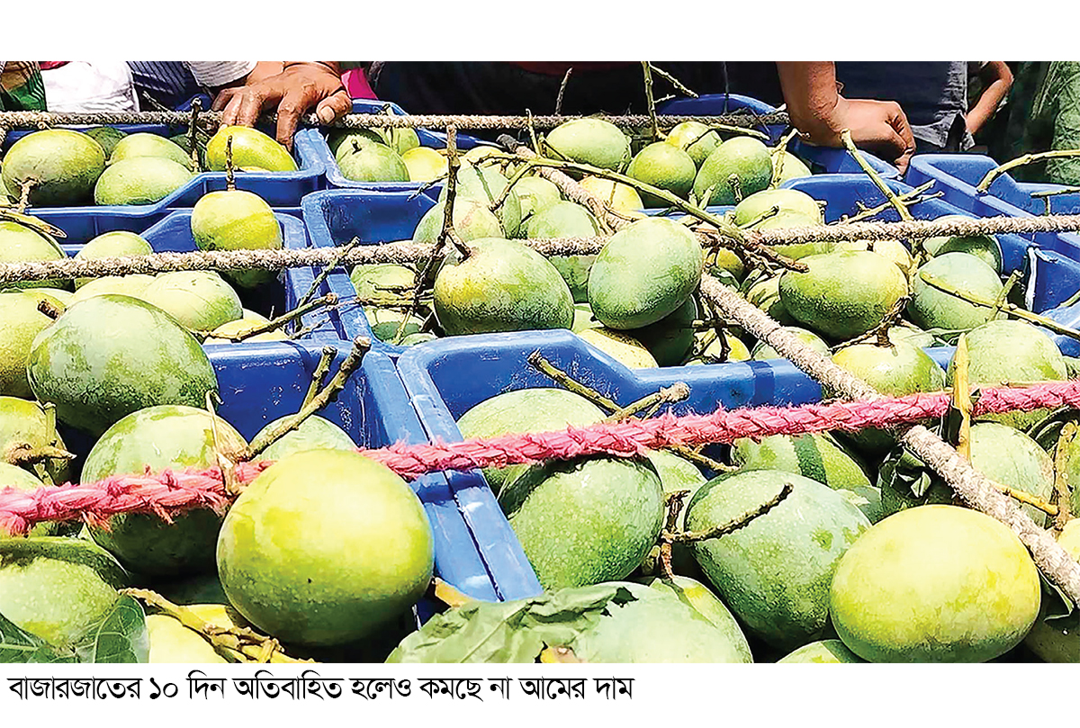 বাজারে আমের দাম দ্বিগুণ