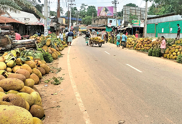 খাগড়াছড়ির পথে পথে পাহাড়ি কাঁঠালের পসরা