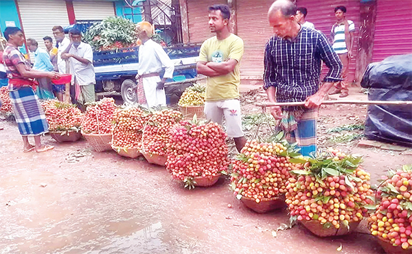 এক হাটে দুই কোটি টাকার লিচু বিক্রি