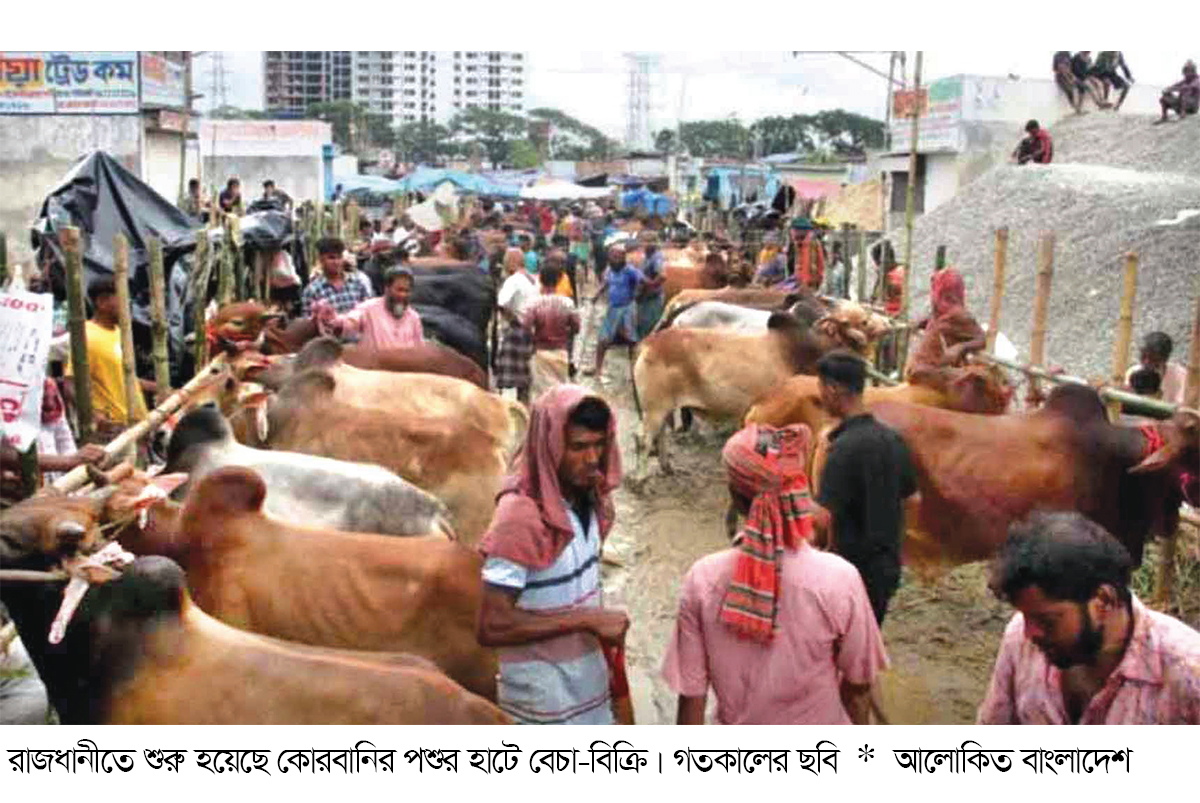 গো খাদ্যের বাড়তি দামের প্রভাব কোরবানির হাটে