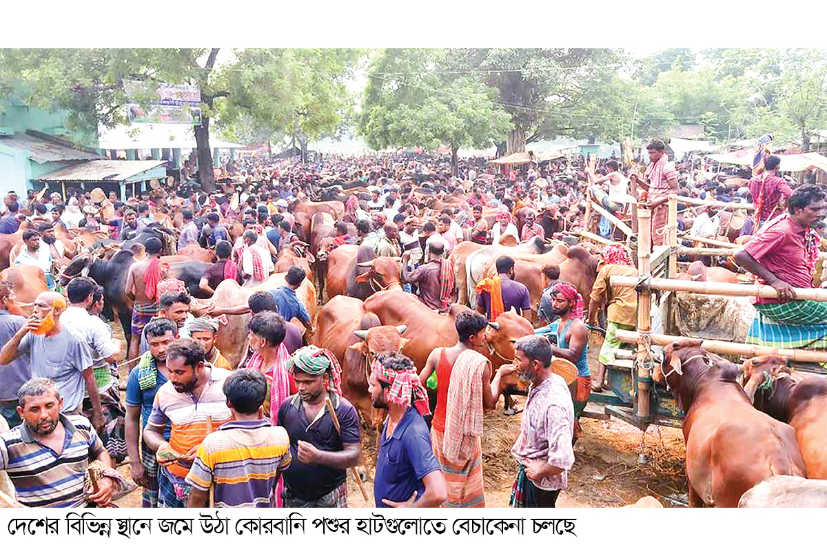 দেশের বিভিন্ন স্থানে জমে উঠেছে কোরবানি পশুর হাট