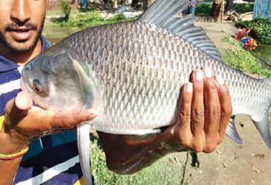 চীনকে টপকে  বাংলাদেশ