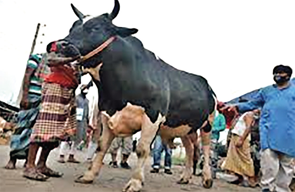 মনের পশু দাও কোরবানি