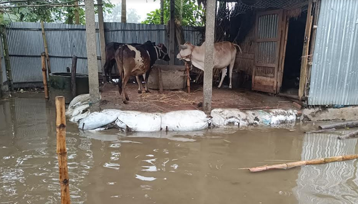 হাতীবান্ধায় শতাধিক পরিবার পানিবন্দি