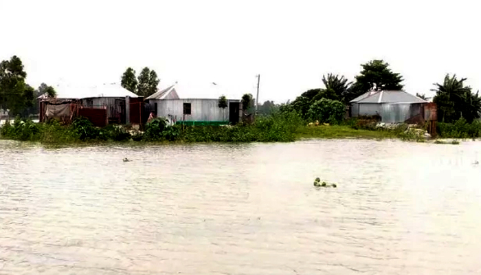 সিরাজগঞ্জে বাড়ছে যমুনার পানি, নিম্নাঞ্চল প্লাবিত