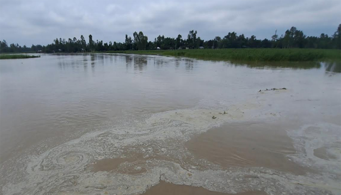 লালমনিরহাটে বেড়েছে নদ-নদীর পানি, নিম্নাঞ্চল প্লাবিত