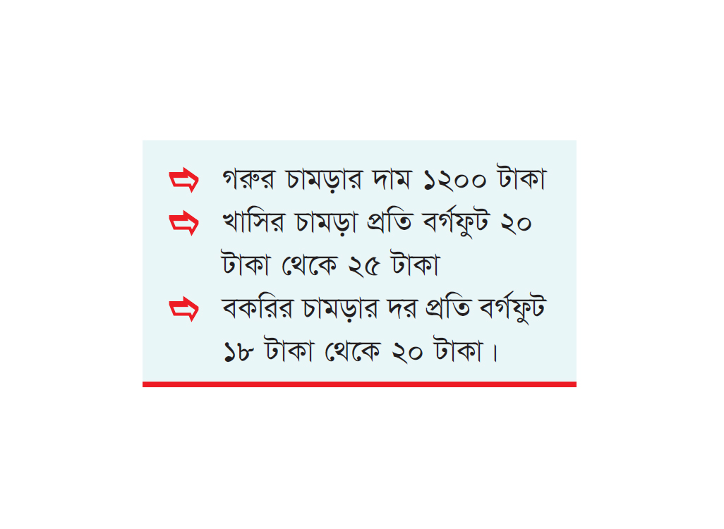 চট্টগ্রামে লক্ষ্যমাত্রার চেয়ে বেশি চামড়া সংগ্রহ