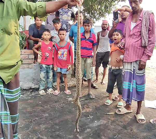 নিধন নয়, ‘করণীয়’ জানাল সরকার