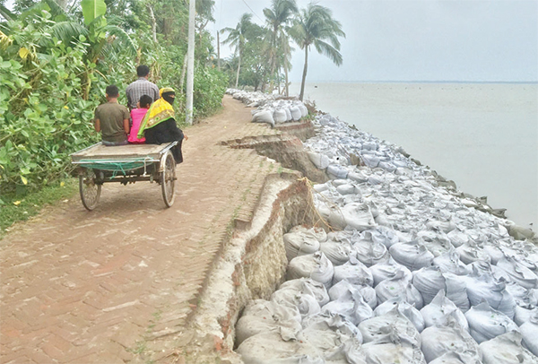 জিওব্যাগ ফেলেও থামানো যাচ্ছে না নদীভাঙন