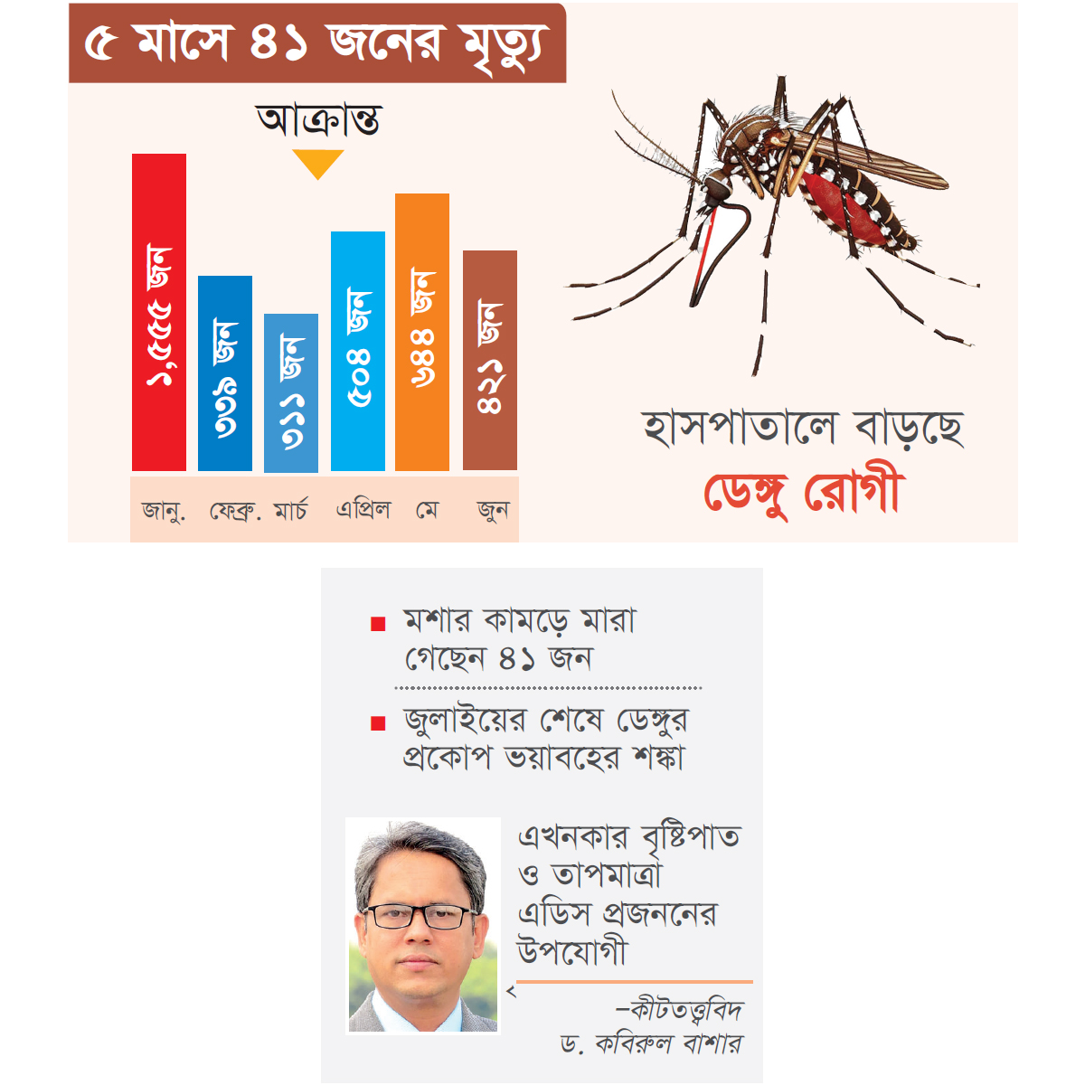 ভয়াবহ রূপ নিতে পারে ডেঙ্গু