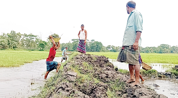 একটি রাস্তায় পাল্টে যাচ্ছে ১০ গ্রামের জীবনমান